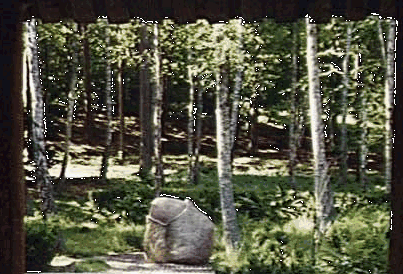 ..... i den japanske have i Ronneby